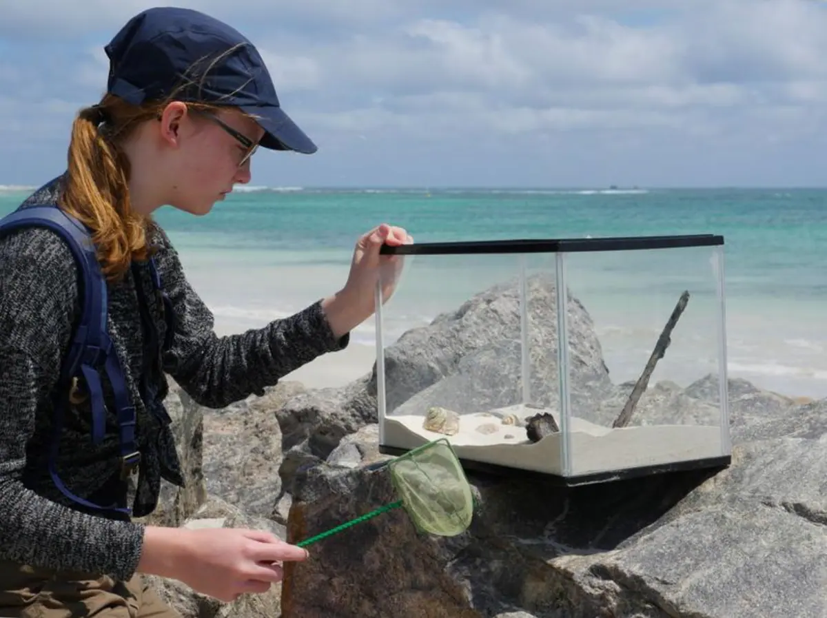 Student examining aquatic samples at the shoreline